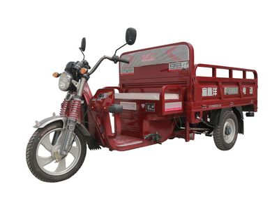 Fuxin Yang  XY3000DZH8A Electric tricycle