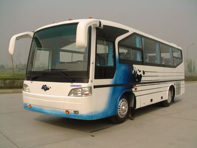 Shudu  CDK6853F3D coach