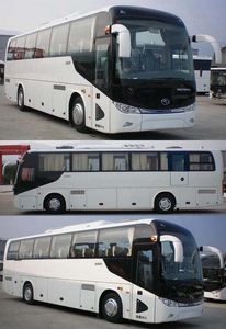 Jinlong  XMQ6113BYBEVL2 Pure electric passenger cars