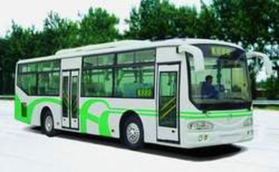 Shenma Star Ace Car ZA6100G1 City buses