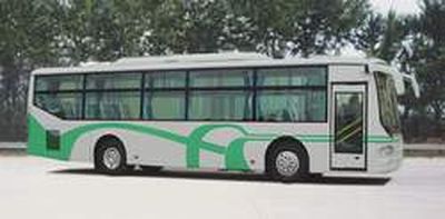 Shenma Star Ace Car ZA6100G1 City buses