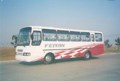 Feiyan SDL6980ZBFCcoach