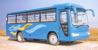 Huaxin brand automobiles HM6800EHD5 coach