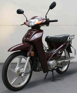 Honghonglie  HL1107T Two wheeled motorcycles