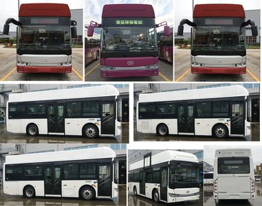 Jinlong  XMQ6850AGFCEV Fuel cell city buses