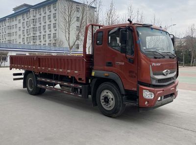 Foton  BJ1184VLPFN01 Truck