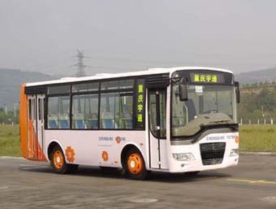 Hengtong Bus CKZ6800N coach