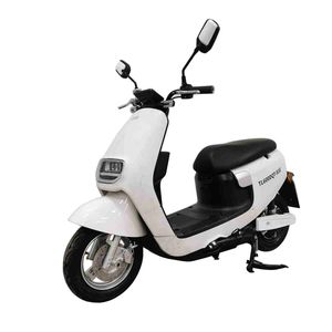 Tailing  TL600DQT81E Electric two wheeled light motorcycle