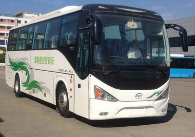 Wuzhoulong  FDG6112EV3 Pure electric passenger cars