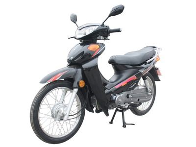 Xinyuan brand automobiles XY1105A Two wheeled motorcycles