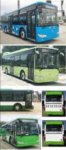 Jinlong  XMQ6106AGCHEVD511 Plug in hybrid urban buses