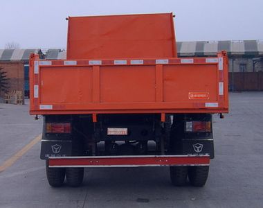 Dayun  DYX3061G Dump truck