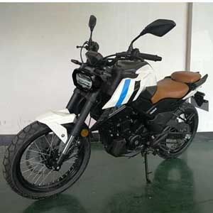 Feiken  FK200D Two wheeled motorcycles