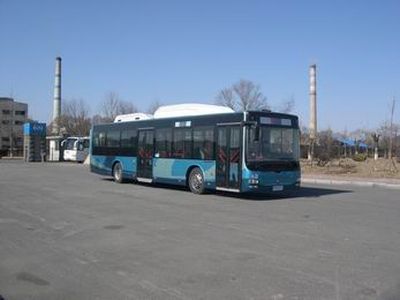 Huanghai  DD6129S09 City buses