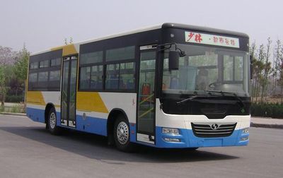 Shaolin SLG6100T4GECity buses