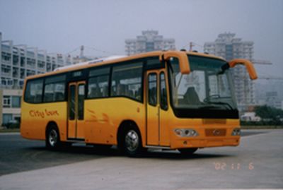 Chongqing brand automobiles CKZ6990CA coach