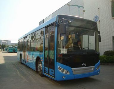 Wuzhoulong  FDG6121HEVG Hybrid urban buses