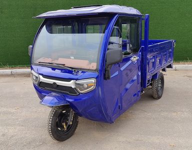 Xingpeng  XP1200DZH9 Electric tricycle