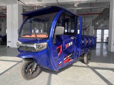 Xingpeng  XP1200DZH9 Electric tricycle