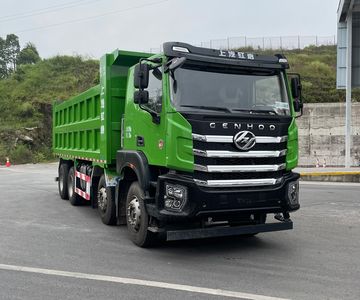 Hongyan  CQ3317EV11306 Dump truck