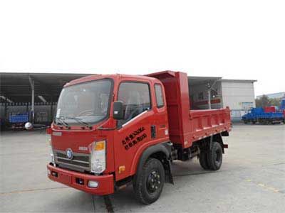 Ace car CDW4010PD2A3 Self dumping low-speed truck