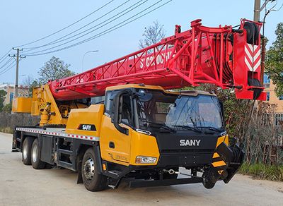 Sany  SYM5338JQZ25C Car crane