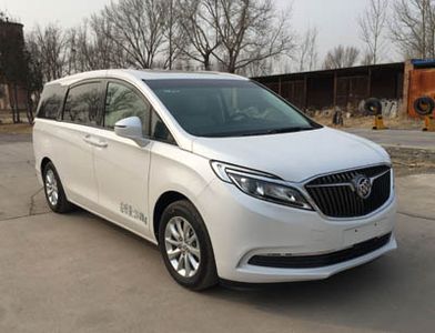 Juchen Ace Car HNY5020XSWB Business vehicle