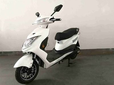 San Gun  SQ600DQT2 Electric two wheeled light motorcycle