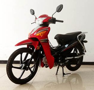 Wuben  WB1102D Two wheeled motorcycles