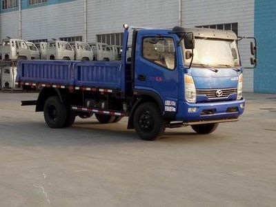 Shifeng  SSF3041DDJ75 Dump truck