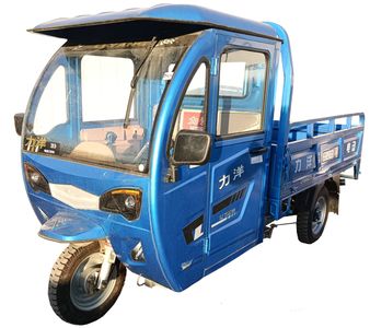 Liyang  LY3000DZH2A Electric tricycle