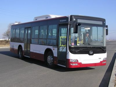 Huanghai  DD6109S24 City buses