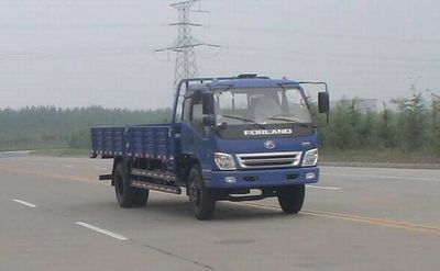 Foton  BJ1153VLPFGB Truck