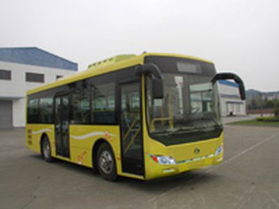 Dongfeng DHZ6900LNCity buses