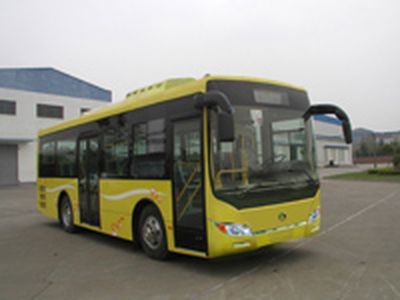 Dongfeng  DHZ6900LN City buses