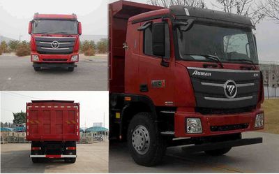 Ouman  BJ3319DNPKCAG Dump truck