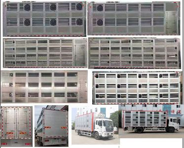 Stallone HZH5180CCQD5 Livestock and poultry transport vehicles