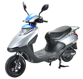 Phoenix  FH1000DQT9A Electric two wheeled light motorcycle