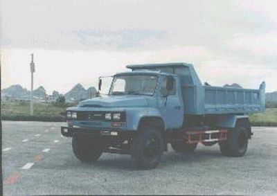 Dongfeng LZ3110G3Dump truck