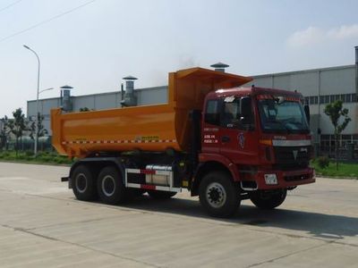 Ruijiang  WL3250BJ38 Dump truck