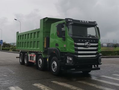 Hongyan  CQ3317EV09286V Dump truck