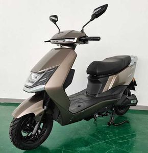 Daniu electric license plate car XY1200DT Electric two wheeled motorcycle