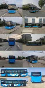 Foton  BJ6123SHEVCA9 Plug in hybrid urban buses