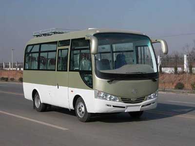 Lingyu  CLY6600DJA1 Light Bus