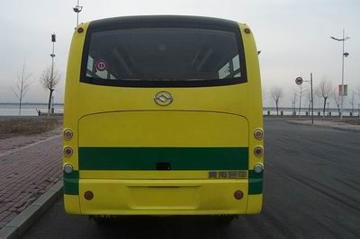 Huanghai  DD6660K01F coach