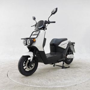 Tailing  TL1500DT18E Electric two wheeled motorcycle