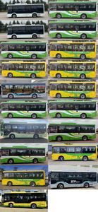 Hagrid KLQ6816GAEVN5W Pure electric city buses