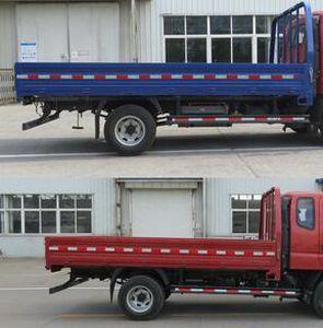 Foton  BJ1049V8JEAA2 Truck