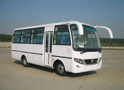 Lingyu  CLY6722DEA1 coach