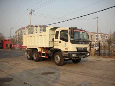 Qilong  QLY3257 Dump truck